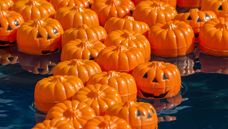 Floating pumpkins in pool