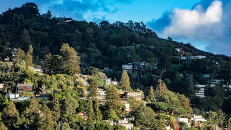Houses in the Berkeley hills