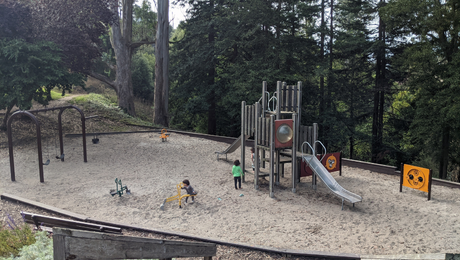 Playground in a forested setting
