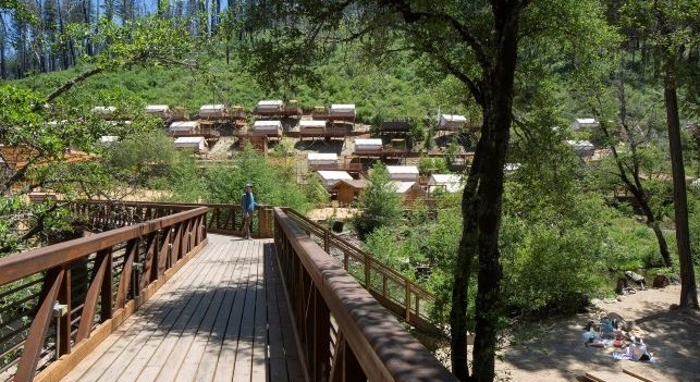 Wooden walkway leads to a hillside of trees and tent cabins
