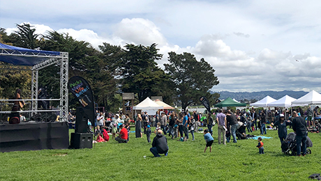 Berkeley Bay Festival