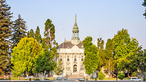 Historic City Hall building surrounded by trees