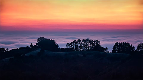 Fog rolling in over Berkeley at sunset