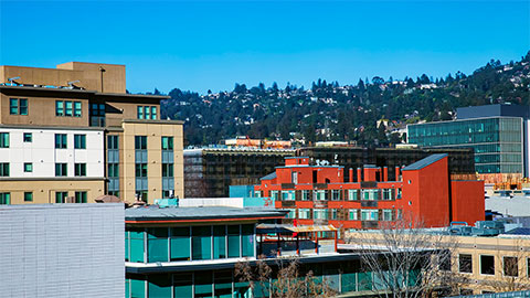 Buildings in downtown Berkeley