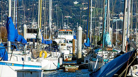 Sailboats at the marina
