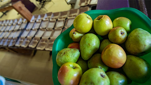 Bowl of pears and meal trays