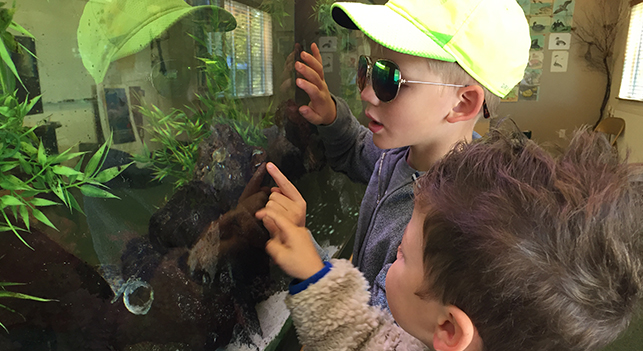 Kids looking at fish tank at Shorebird Nature Center