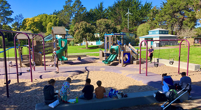 Shorebird Park Playground