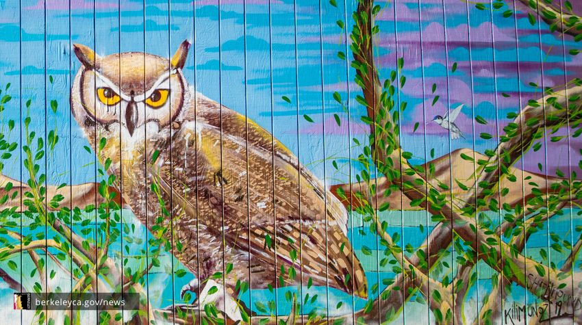 Wall mural of owl in a tree