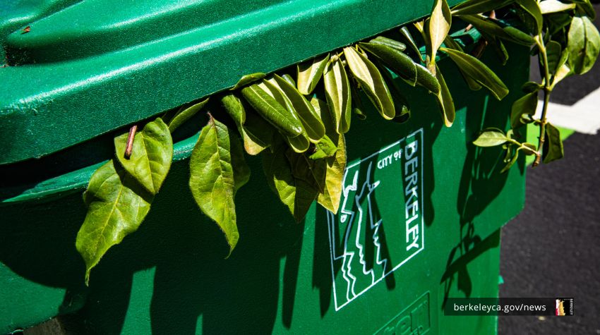 Green compost bin with leaves