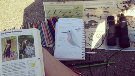 Participant creating a Nature Journal 