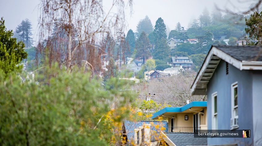 Picture of houses and rooftops