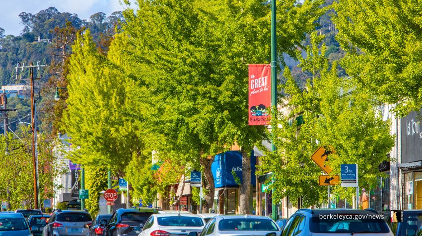 Business district street with green trees, businesses, and vehicles. 