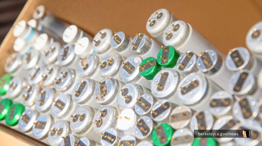 Used lightbulbs in a box