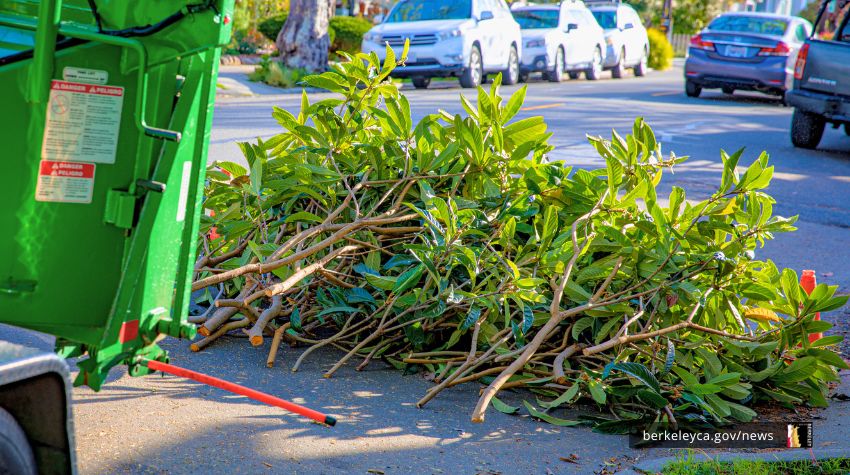 Branches sit on ground in a pile next to a metal chipper machine