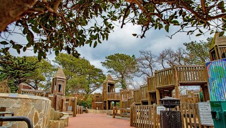 Wooden playground with green slide and tree overhead
