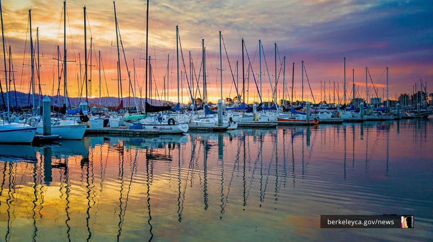 Boats lined up in the Berkeley Marina
