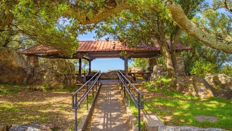 Covered picnic shelter with a red roof at Cragmont Rock Park, reached by a pathway with handrails and shaded by large oak trees.