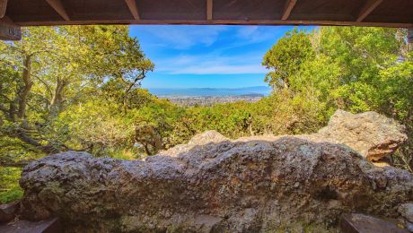 Scenic view from inside the picnic shelter at Cragmont Rock Park, looking past boulders and trees toward the Bay and horizon.