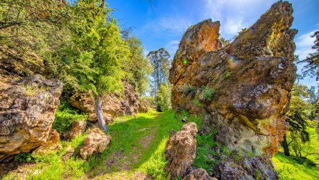 Rocky trail surrounded by greenery and jagged stone formations at Remillard Park in Berkeley.