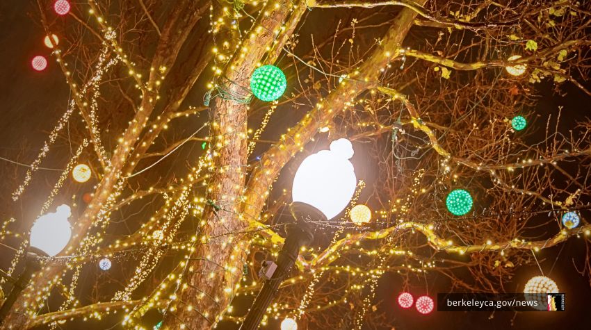 Holiday lights adorning tree in right-of-way