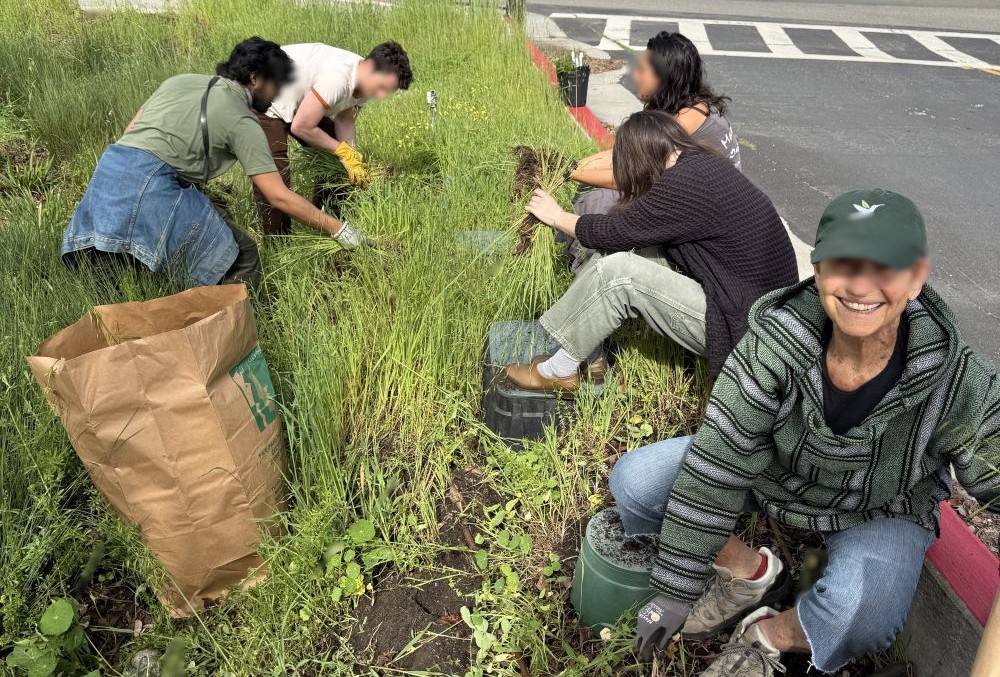 Rose & Hopkins Street Volunteers