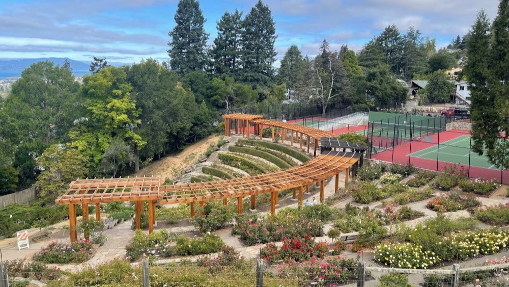Terraced garden overlooking the bay
