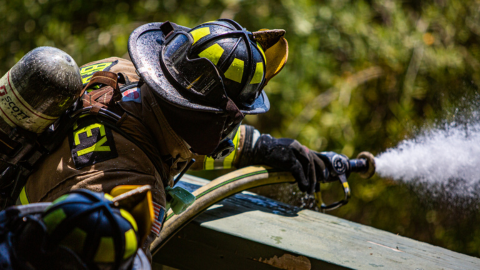 Prepare property for wildfires