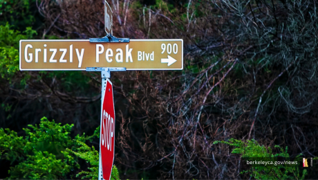 Grizzly Peak Street sign above a stop sign in front of the woods