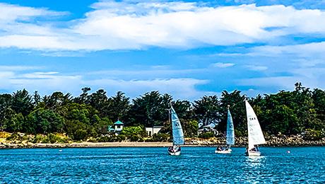 Boats on the Marina