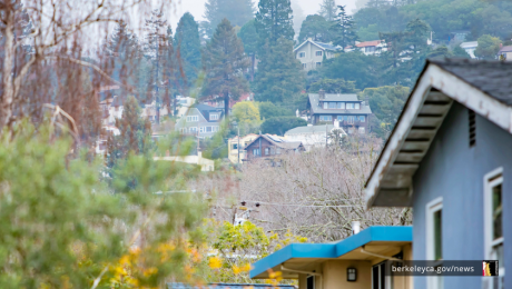 Houses in Berkeley Hills