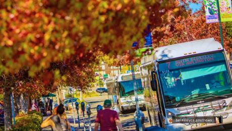 Bus drives along Berkeley street, while trees in foreground are turning red