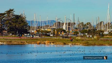 Berkeley marina waterfront with people walking and sail boats in the distance