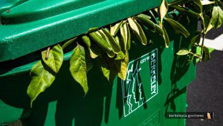 Green compost bin with leaves