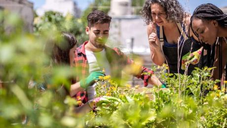 People gardening