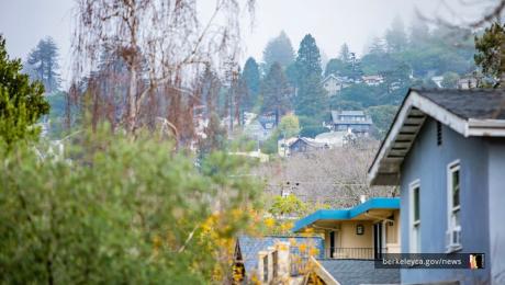 Picture of houses and rooftops