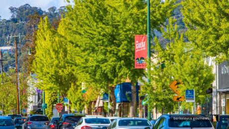 Business district street with green trees, businesses, and vehicles. 