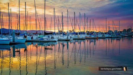 Boats lined up in the Berkeley Marina