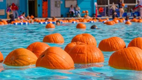 Floating Pumpkin Patch at West Campus Pool 