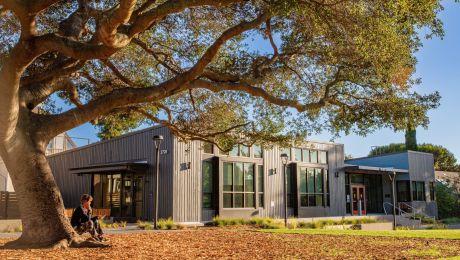 Exterior of a modern building with large windows and gray siding, shaded by a sprawling oak tree. A person sits on the ground under the tree near the entrance.