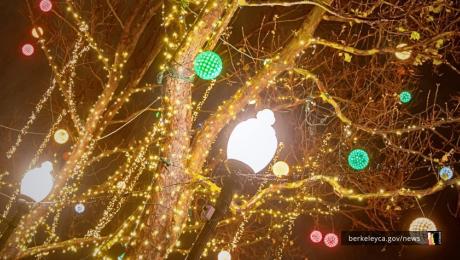 Holiday lights adorning tree in right-of-way