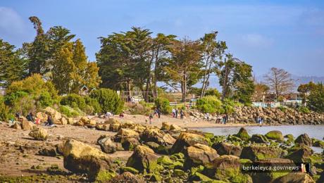 People pick up trash in a rocky shoreline area