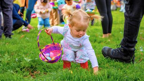 Little girl picks up plastic egg on grass