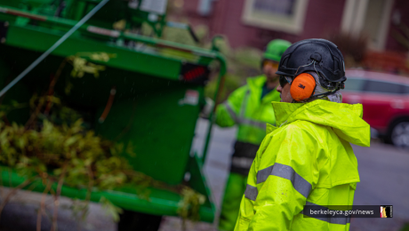 Chipper and Vegetation Bin