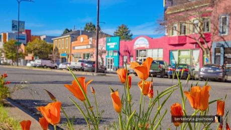 Orange poppy's with colorful business front in the background. 