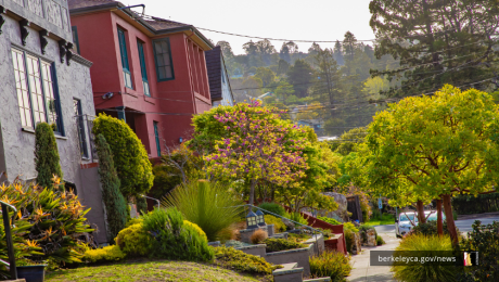 Firewise neighborhood
