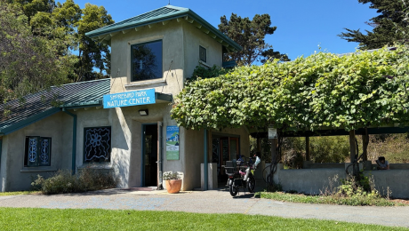 Front of the Shorebird Nature Center.
