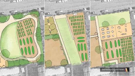Three proposed park design concepts shown side by side, featuring green spaces, walking paths, garden beds, trees, and gathering areas in different layouts.
