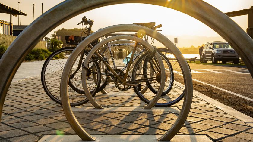 Bike rack near the marina