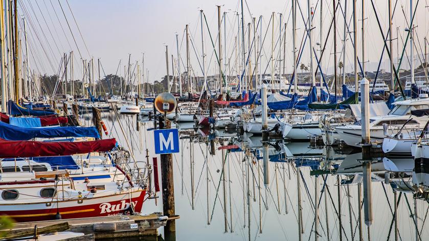 Boats at the Berkeley Marina